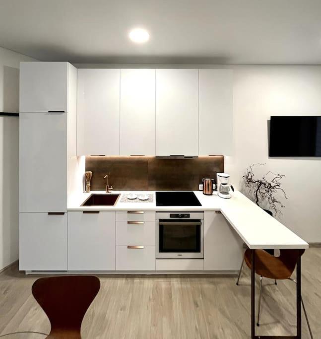 Kaunas Old Town Apartment 外观 照片